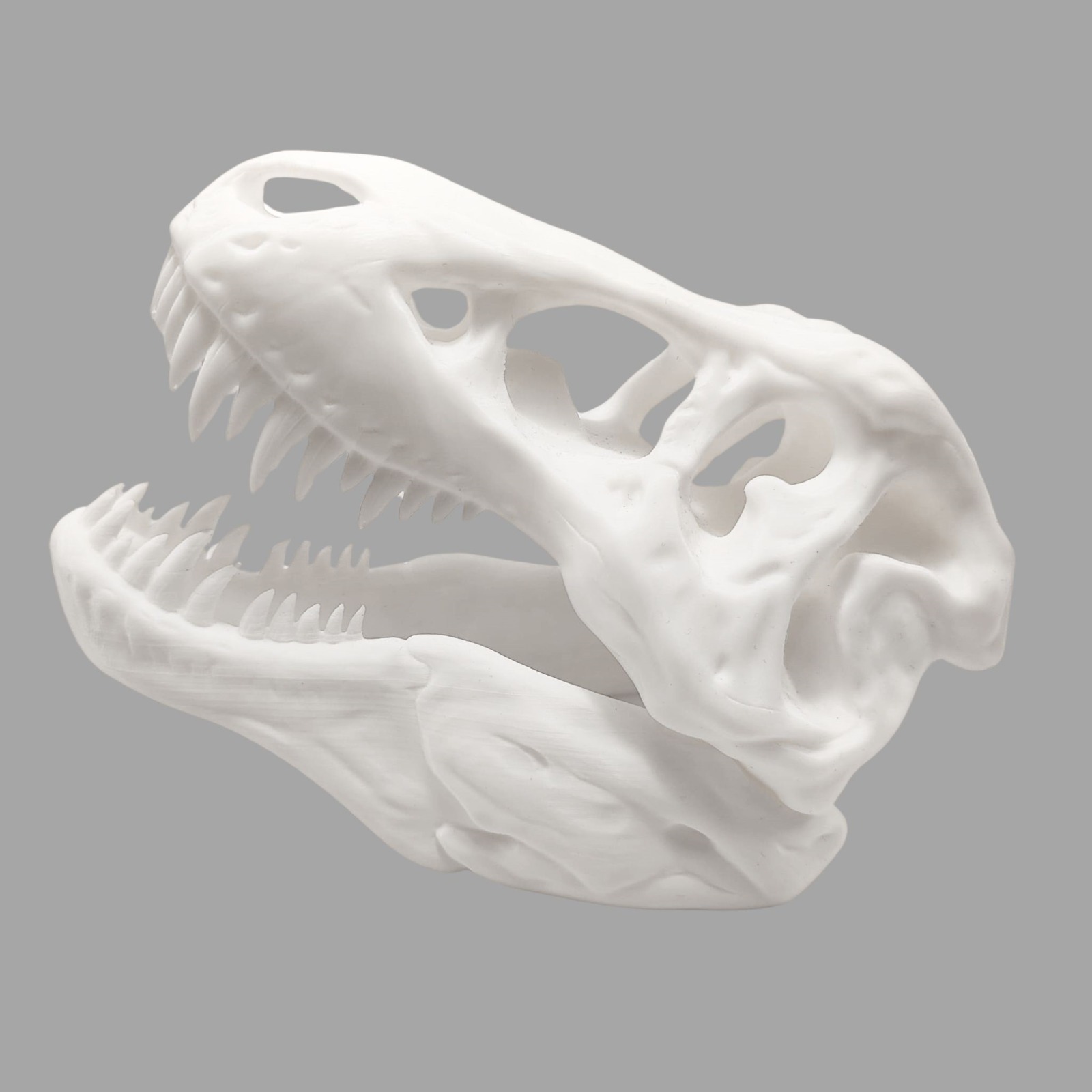 Craniu T-Rex 3D pe Postament - Decor Preistoric Autentic - Image 5