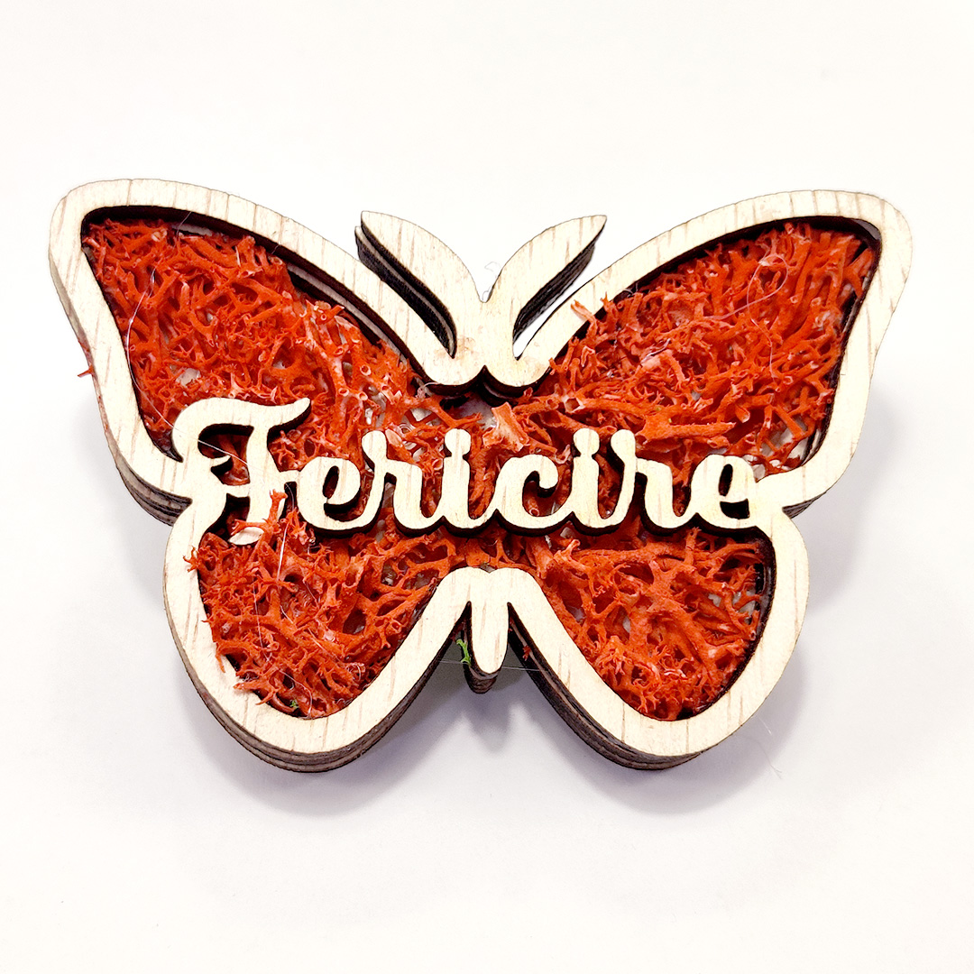 Fluture cu licheni si mesaj – Martisor artizanal de lemn cu magnet - Image 4